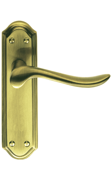 DL455 Satin Brass/Polished Brass