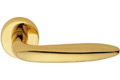 Camelia  - polished brass