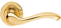 Polished brass door handle